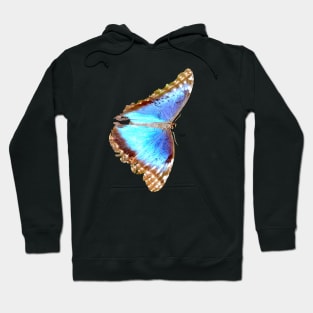 Morpho Butterfly on Black / Swiss Artwork Photography Hoodie